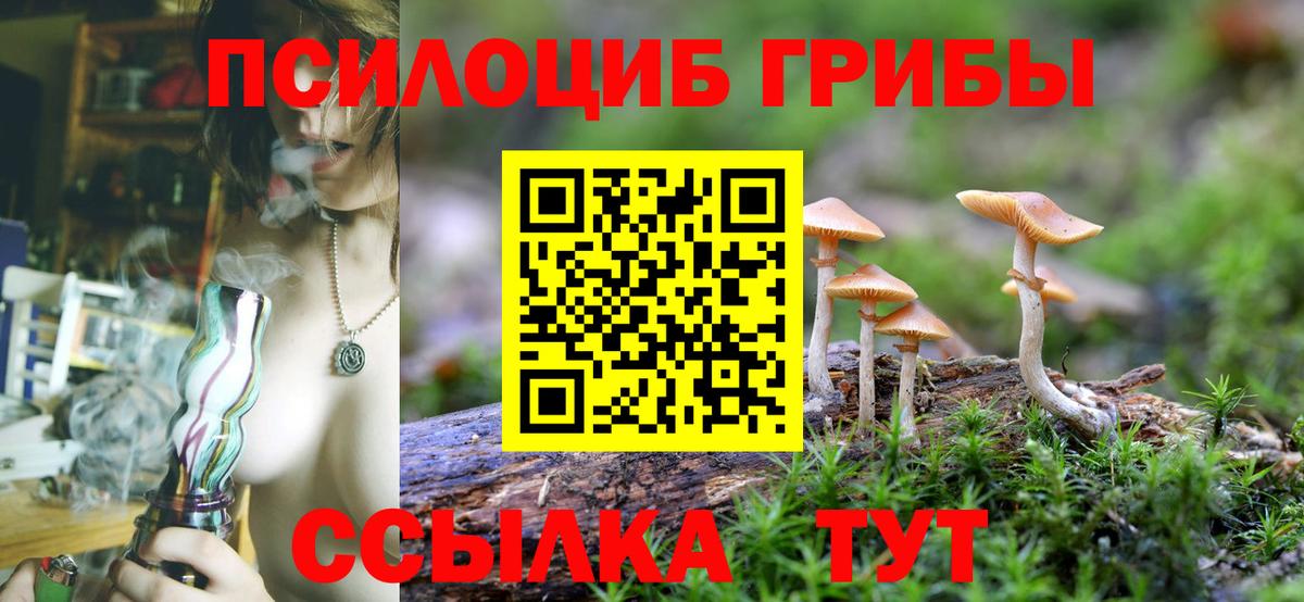 Галлюциногенные грибы Psilocybine cubensis  Вход с VPN  Галлюциногенные грибы Psilocybine cubensis  Нурлат 